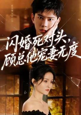 闪婚死对头，顾总他宠妻无度